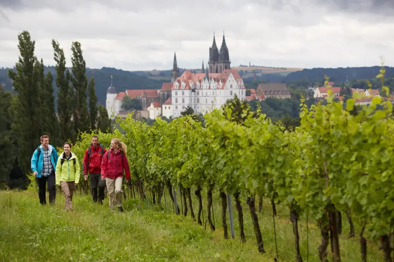 View towers and wineries in Elbland
