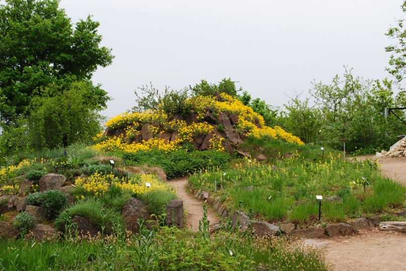 Botanischer Garten auf der Boselspitze