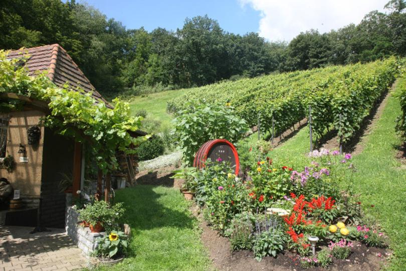 Besenwirtschaft "Zum Winzerschoppen" on the Bosel