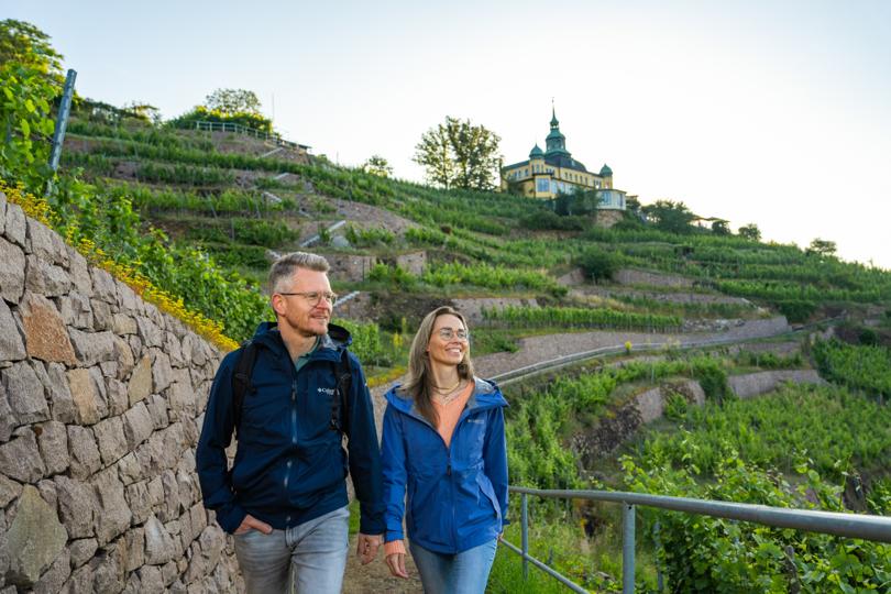 Sächsischer Weinwanderweg - Etappe 3 - Von Dresden-Wilder Mann nach Radebeul-Zitzschewig