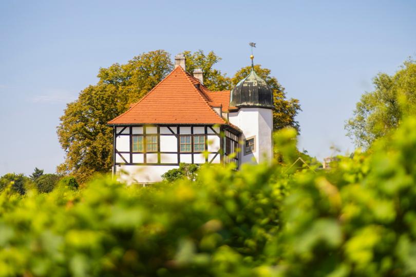 Hoflößnitz Wine Museum