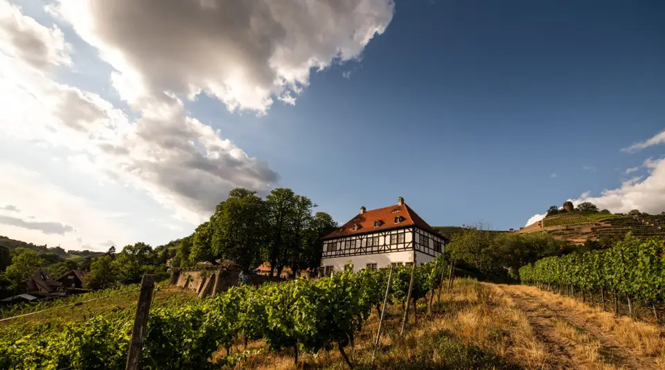 Weingut Hoflößnitz