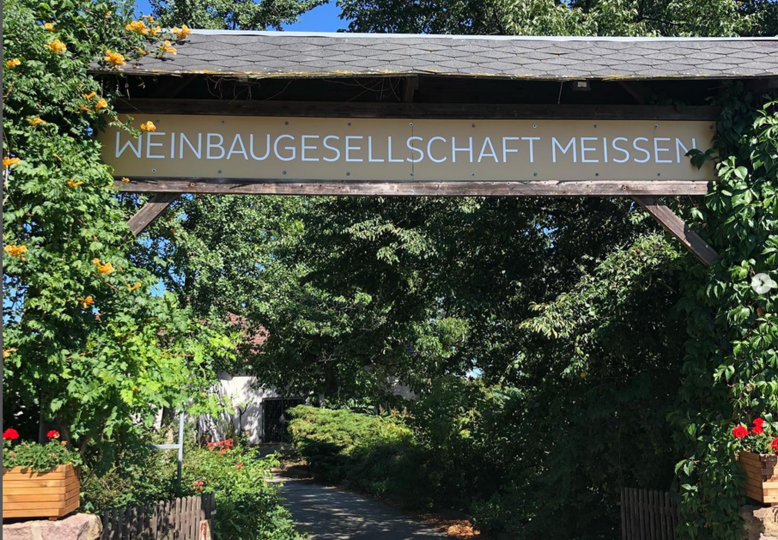 Rzemiosło winiarskie Meissen