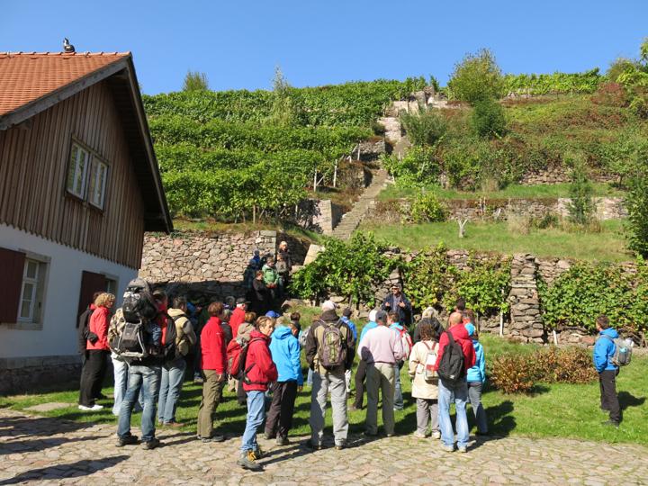 Durch Tännichtgrund und Lotzebachtal