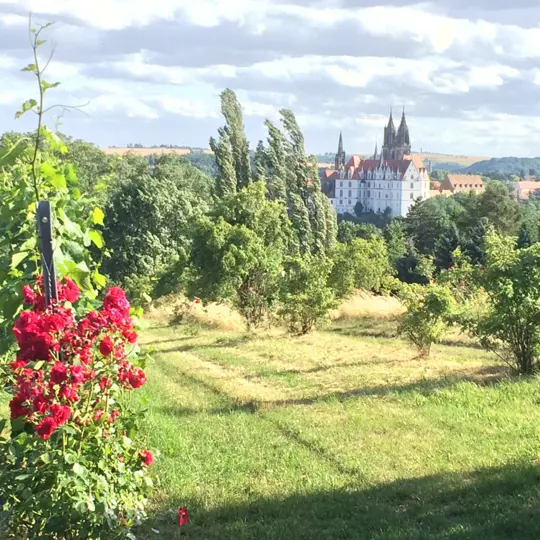 Meißen Walking -  Weinstrecke