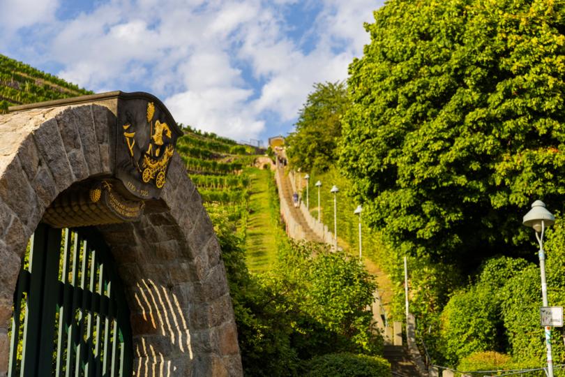 Weinwanderung Radebeul - Route Oberlößnitz (Teilabschnitt der RebkulTour)
