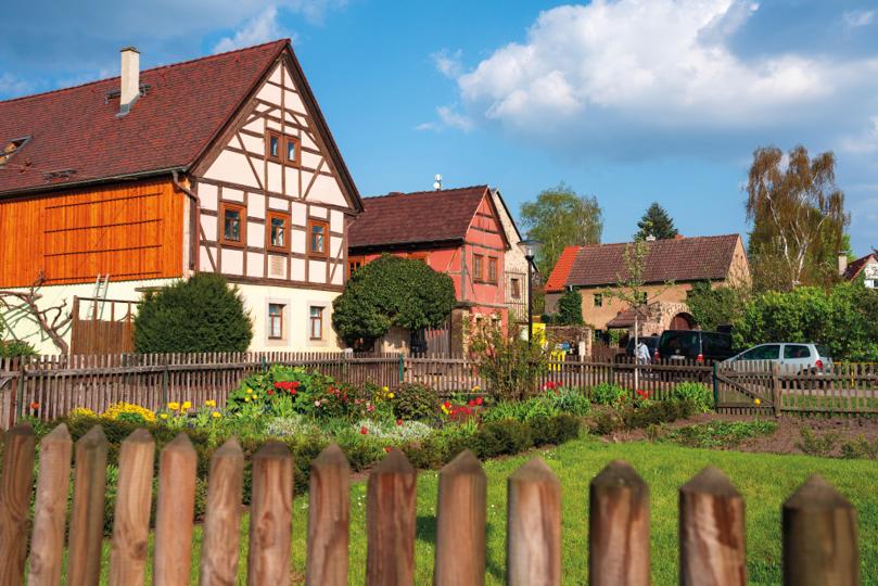 Wine trail in Zitzschewig