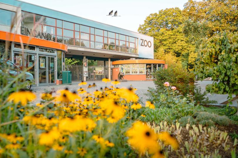 Zoo Drážďany