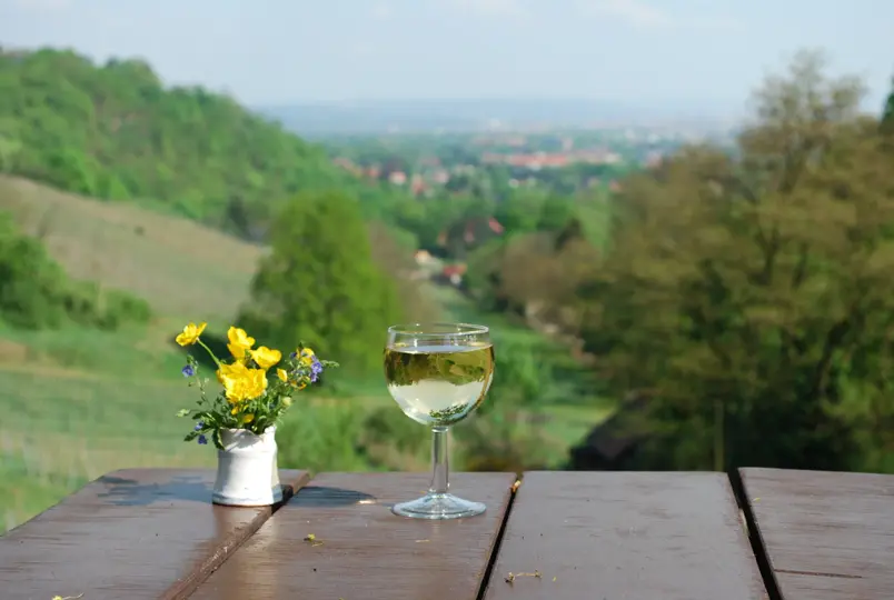 Winzerei "Paradiesberg" Besenschänke