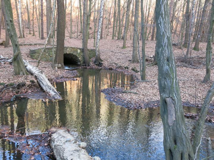 Sport- und Freizeitwanderung Friedewald Tour 3