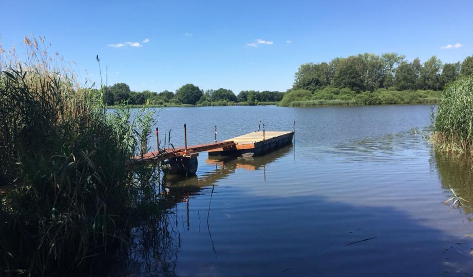 Badeteich am Ferienpark Bad Sonnenland