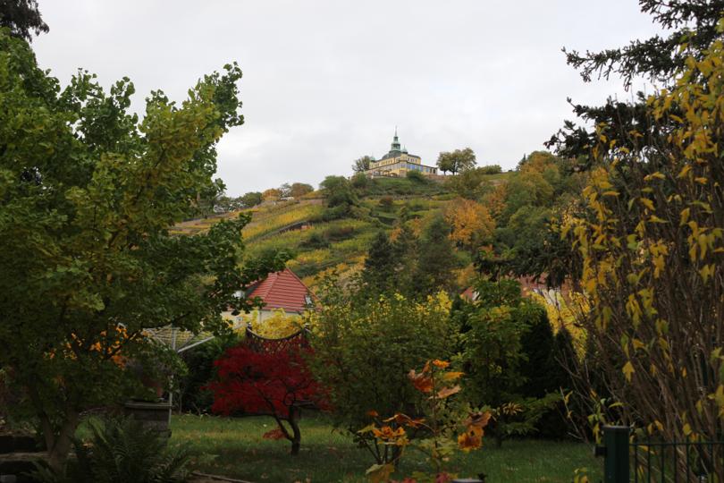 Weinwanderung Radebeul - Historische Waldroute (Teilabschnitt RebkulTour)