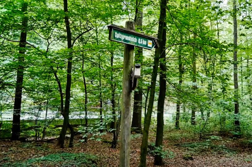 Spitzgrundborn (KARRAS-Rundweg)