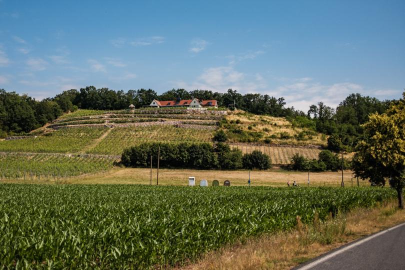 Herrenberg Winery