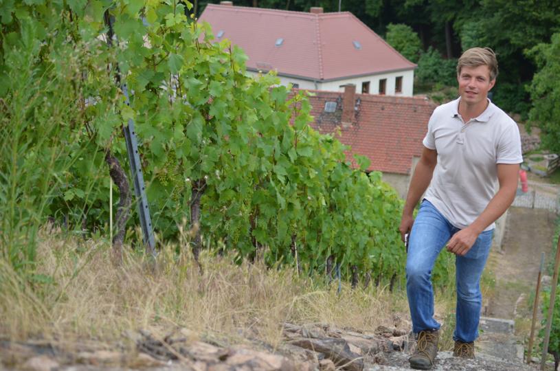 Sparkling wine manufactory Perlgut