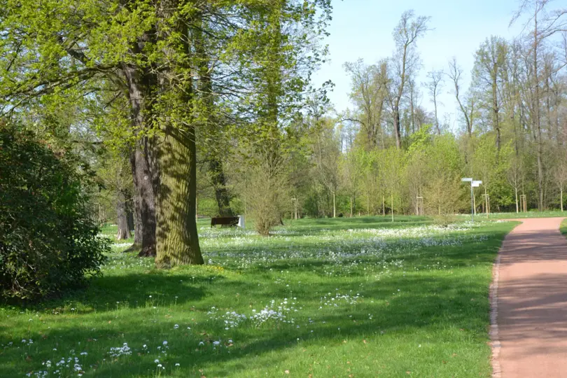Stadtpark Großenhain