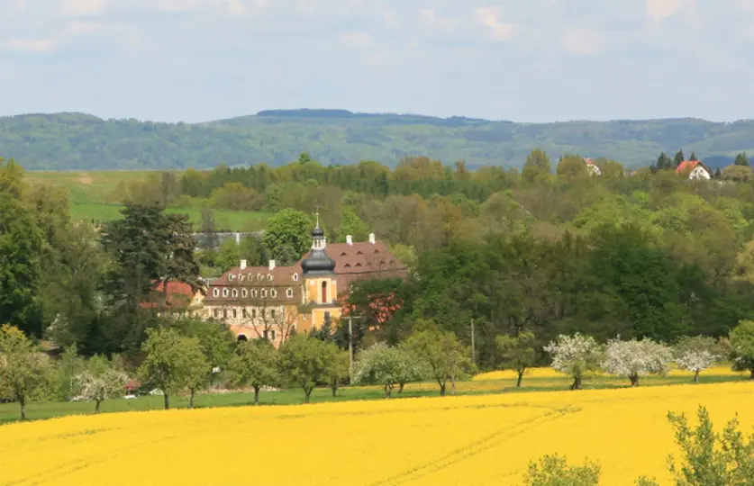 Botanische Sammlungen im Landschloss Pirna-Zuschendorf (Kamelienschloß)
