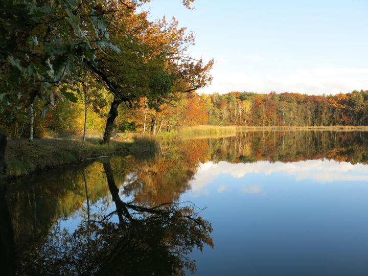 Sport- und Freizeitwanderung Friedewald Tour 2