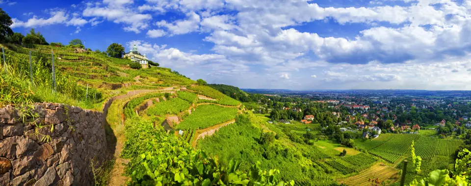 Sächsischer Weinwanderweg - An jedem Etappenziel ein guter Tropfen