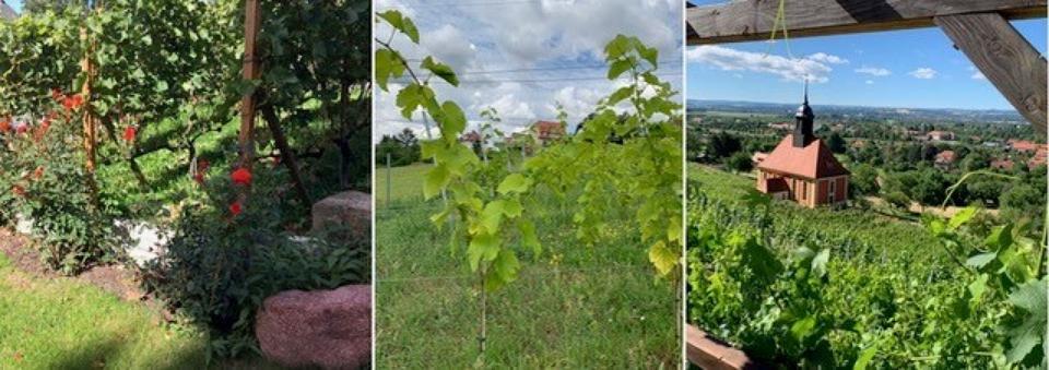 Kahlert's Winery