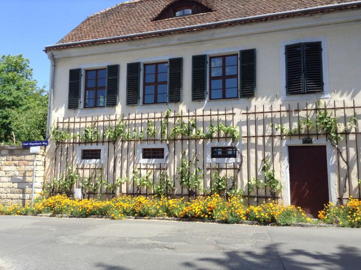 elbhangWEINkeller