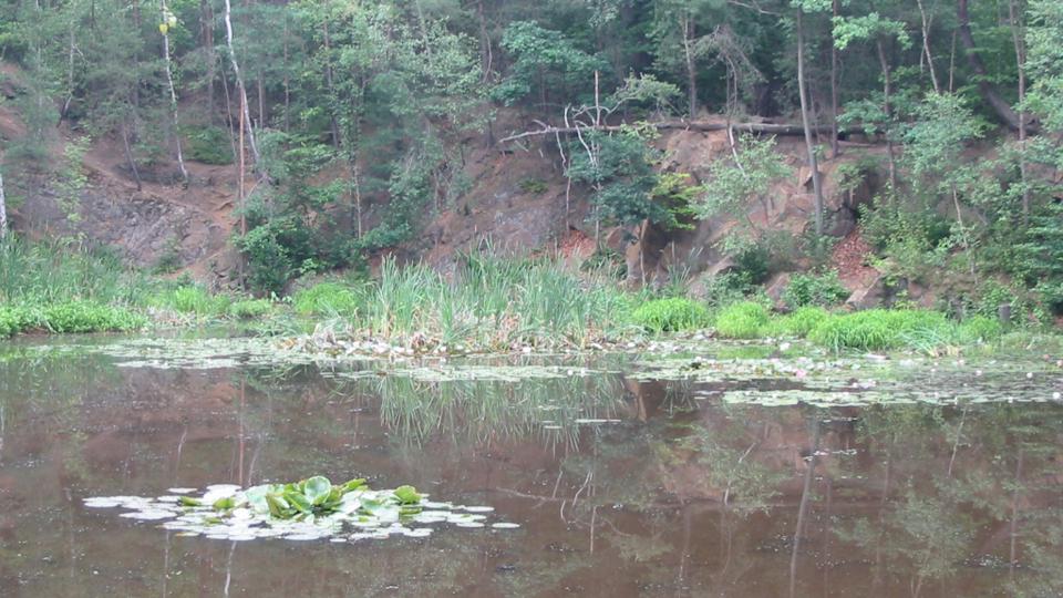 Teiche-Wandertour um Coswig