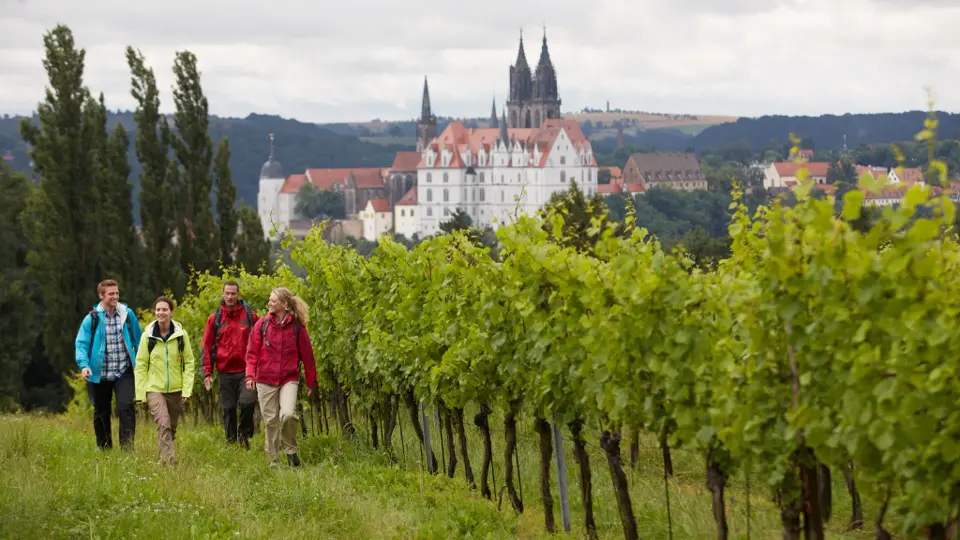 View towers and wineries in Elbland