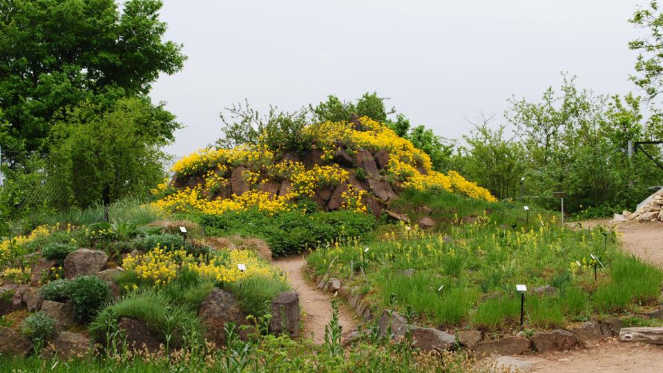 Botanischer Garten auf der Boselspitze
