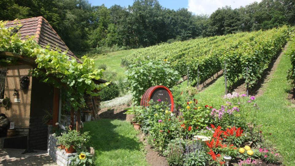 Besenwirtschaft "Zum Winzerschoppen" on the Bosel