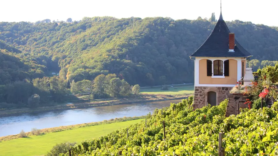 Weinberghäuschen „Schwalbennest“