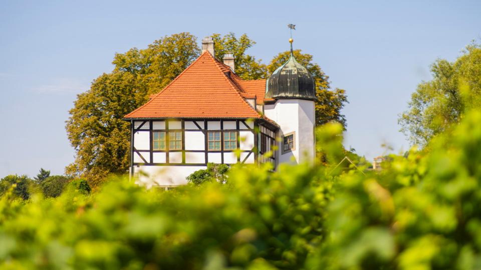 Hoflößnitz Wine Museum