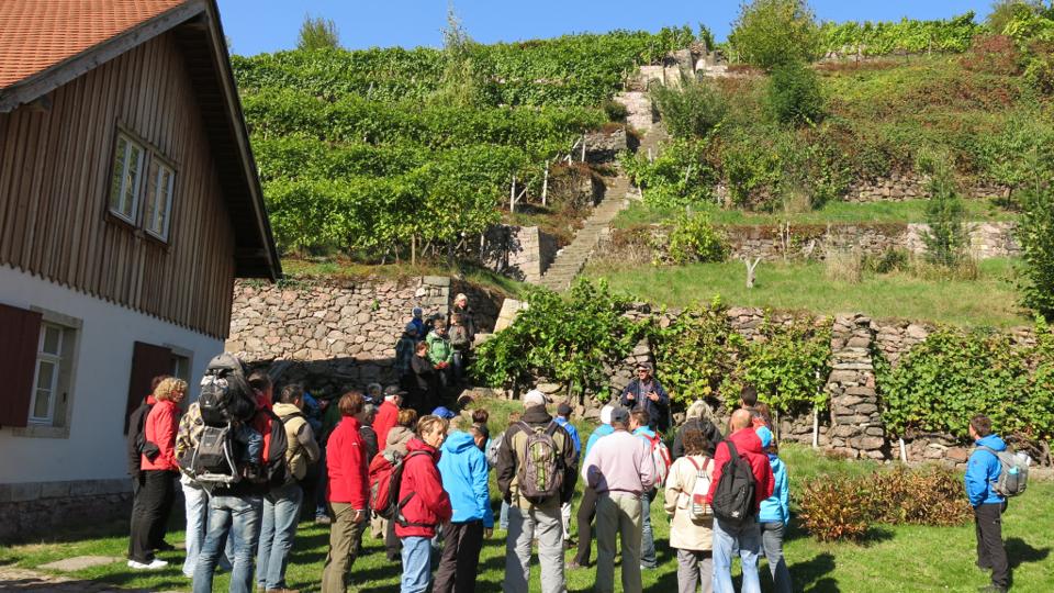Durch Tännichtgrund und Lotzebachtal