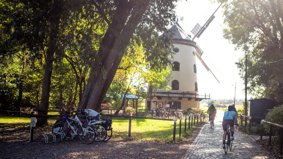 Familientour nach Radebeul mit Fährfahrt, Windmühle und Spielplatz