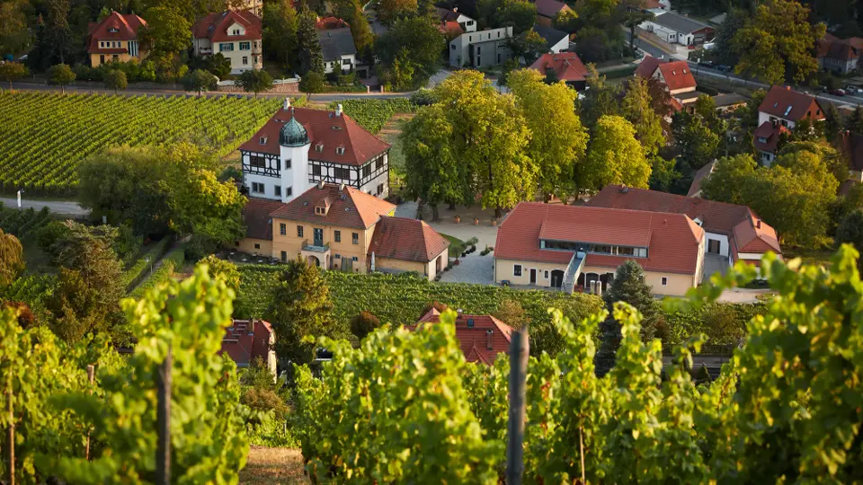 Weinbaumuseum Hoflößnitz