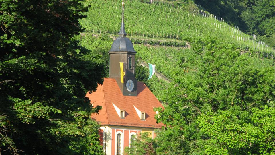 Vinař Torsten Ballin, Weinbau Martin/ Pech & vinař Lutz Müller - vinný bar