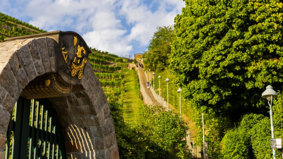 Weinwanderung Radebeul - Route Oberlößnitz (Teilabschnitt der RebkulTour)