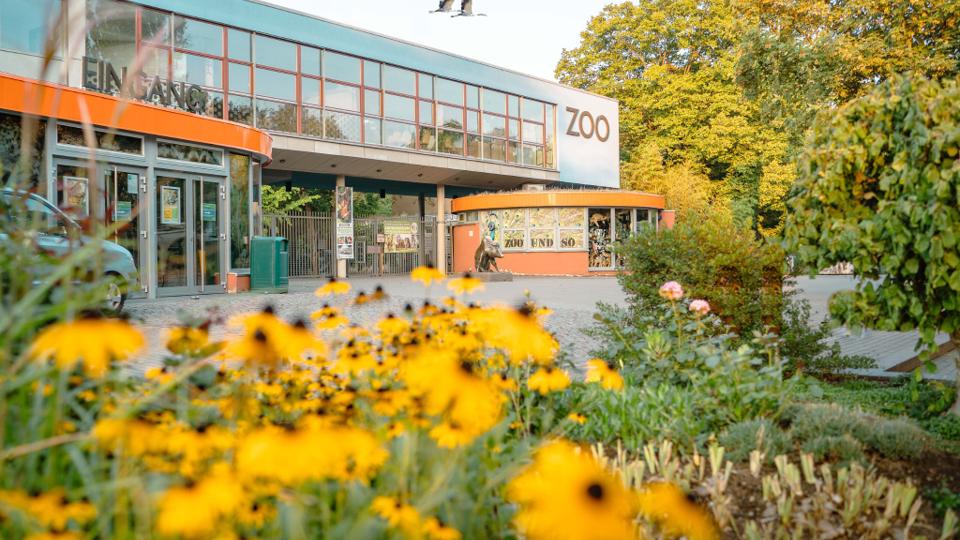 Zoo Drážďany