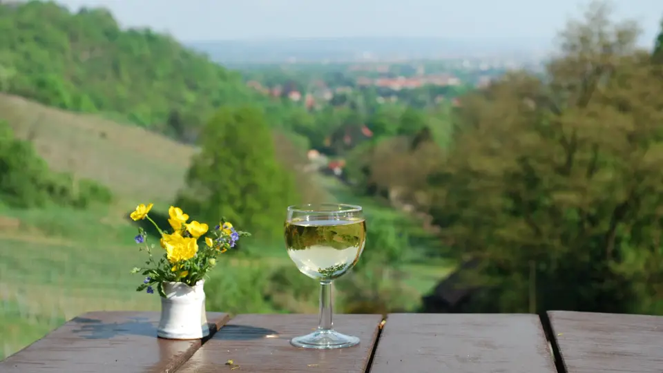 Winzerei "Paradiesberg" Besenschänke