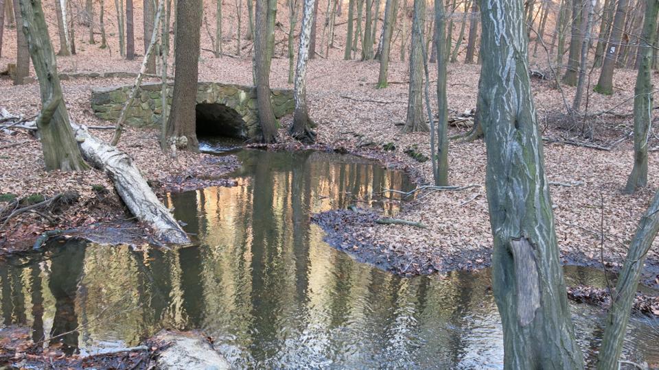 Sport- und Freizeitwanderung Friedewald Tour 3