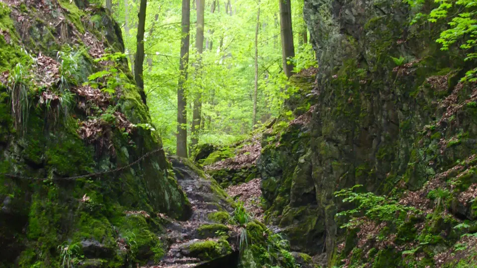 Rundweg von Hainsberg über die Somsdorfer Klamm nach Tharandt
