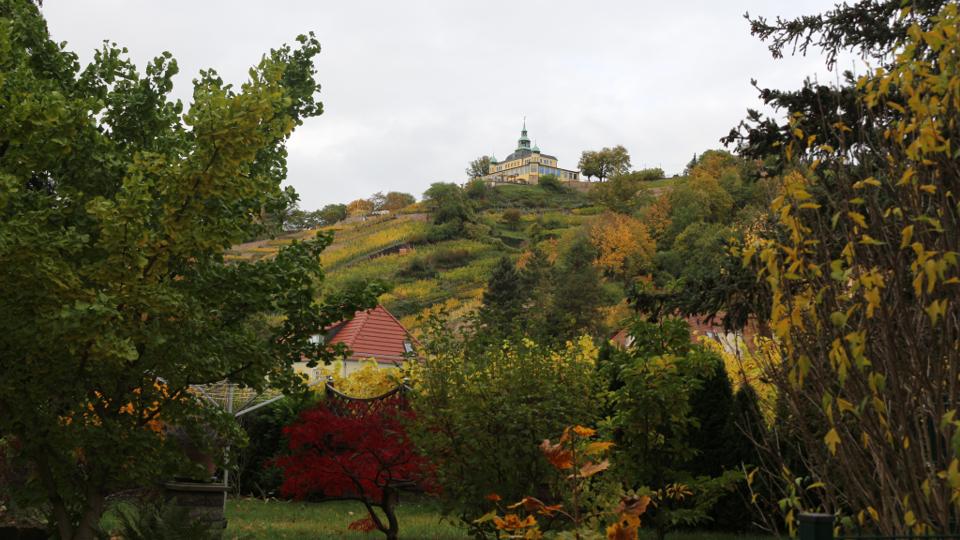 Weinwanderung Radebeul - Historische Waldroute (Teilabschnitt RebkulTour)