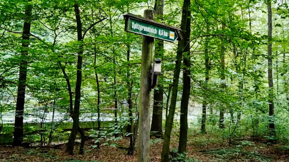 Spitzgrundborn (KARRAS-Rundweg)