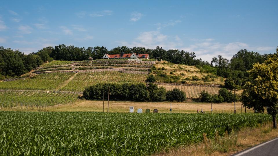 Herrenberg Winery