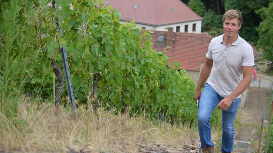 Manufaktura šumivého vína Perlgut