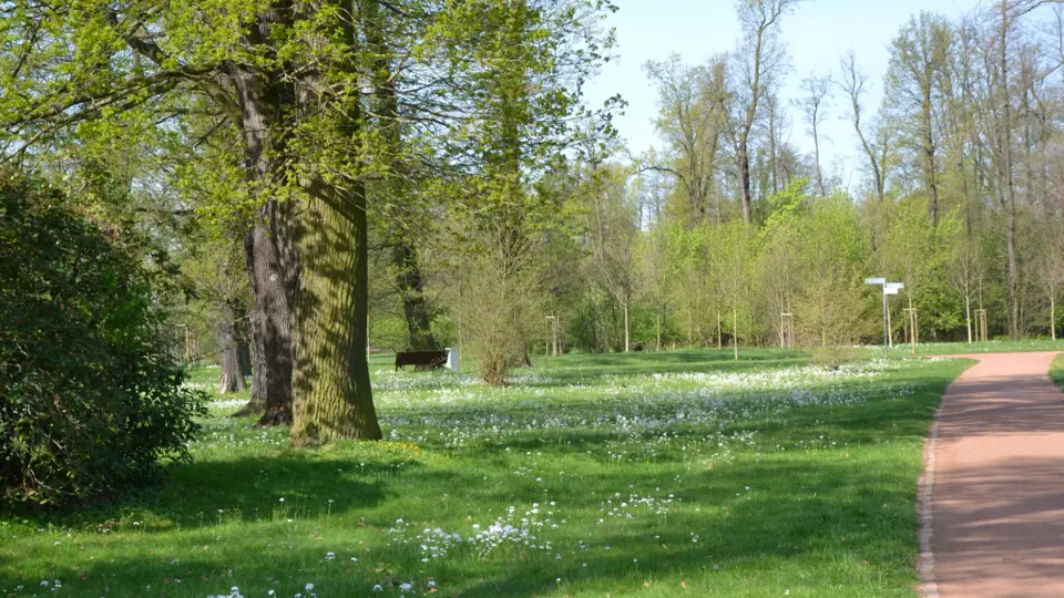 Stadtpark Großenhain