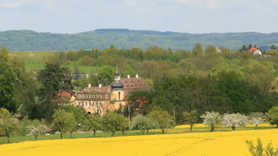 Botanische Sammlungen im Landschloss Pirna-Zuschendorf (Kamelienschloß)