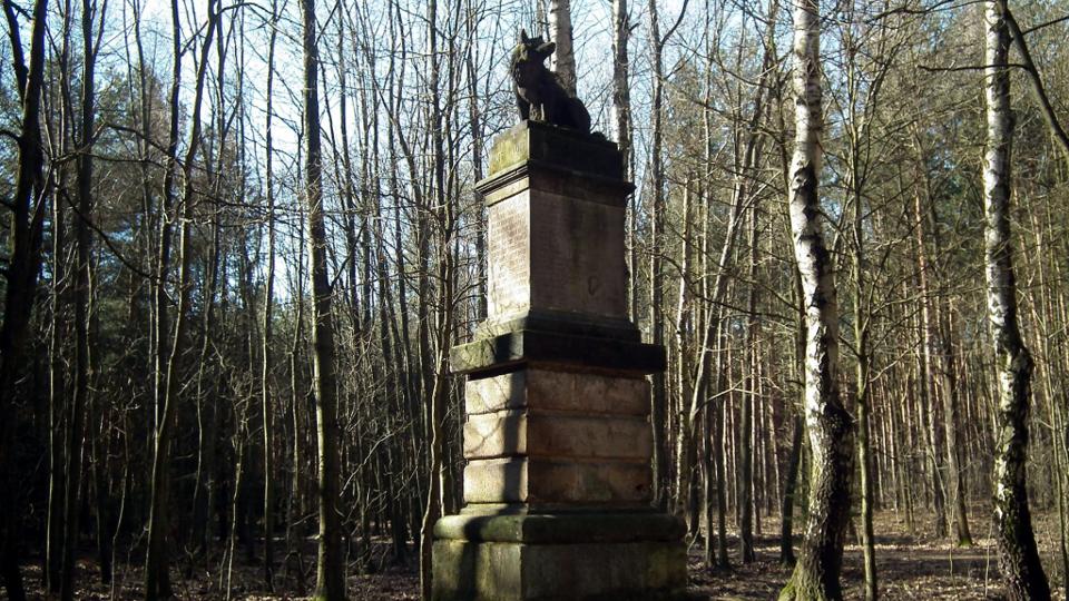 Wolfsdenkmal Weinböhla (Wolfssäule Friedewald)