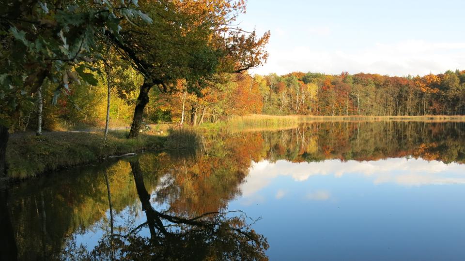 Sport- und Freizeitwanderung Friedewald Tour 2