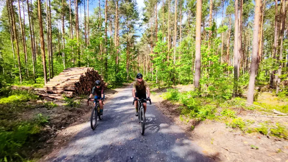 Gravel-Tour 1: Durch den Friedewald nach Moritzburg