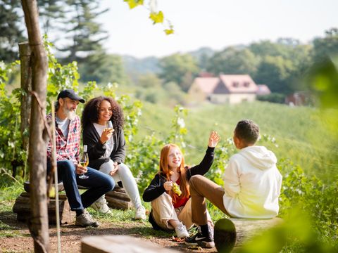 Urlaub auf dem Weingut in Dresden Elbland